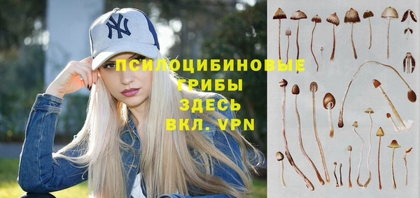 бутират Аркадак