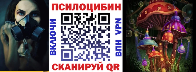 Купить где  Белово  Галлюциногенные грибы Psilocybe 