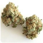 Шишки "White Widow"  (Белая вдова)  Гидропоника -  Бошка VHQ в Белово
